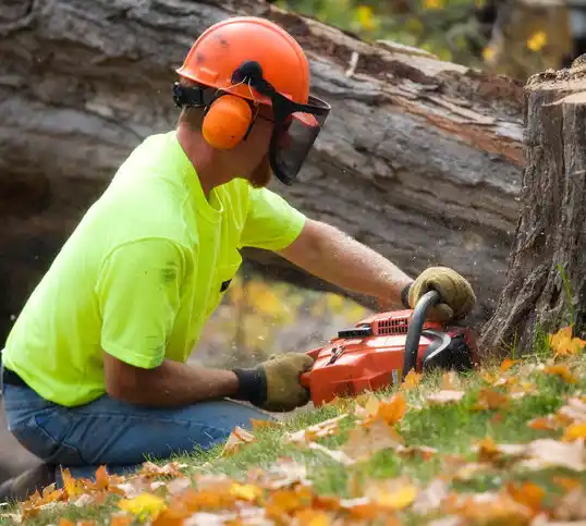 tree services New Hempstead